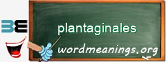 WordMeaning blackboard for plantaginales